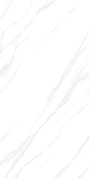 640.webp.jpg