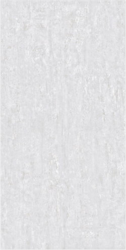 19.png